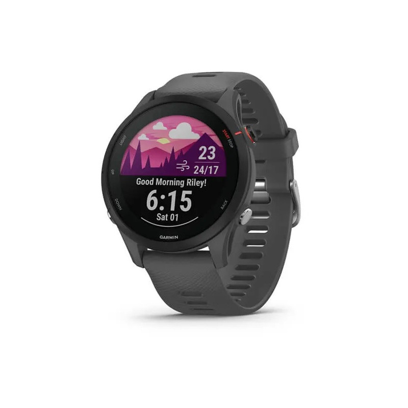 Garmin Forerunner 255 Slate Gray