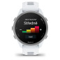 Garmin Forerunner 170 Music Whitestone s řemínkem Whitestone / Cloud Blue Garmin Forerunner 170 Music Whitestone s řemínkem Whitestone / Cloud Blue